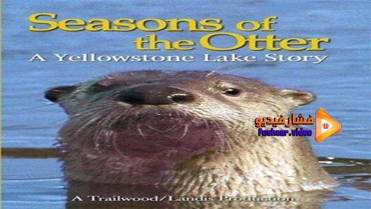 مشاهدة فيلم Seasons of the Otter 2020 مترجم