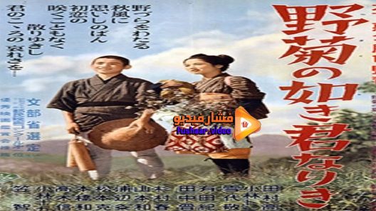 مشاهدة فيلم She Was Like a Wild Chrysanthemum 1955 مترجم
