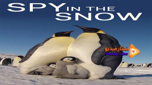 مشاهدة فيلم Spy in the Snow 2018 مترجم
