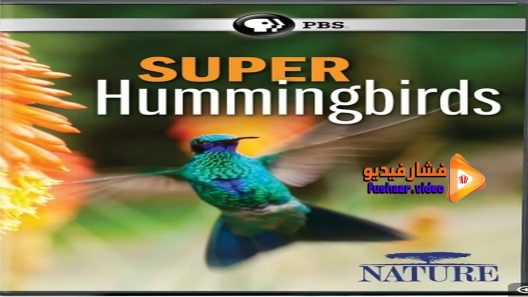 مشاهدة فيلم Super Hummingbirds 2016 مترجم