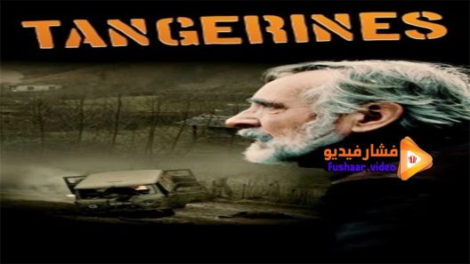 مشاهدة فيلم Tangerines 2013 مترجم