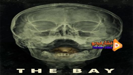 مشاهدة فيلم The Bay 2012 مترجم