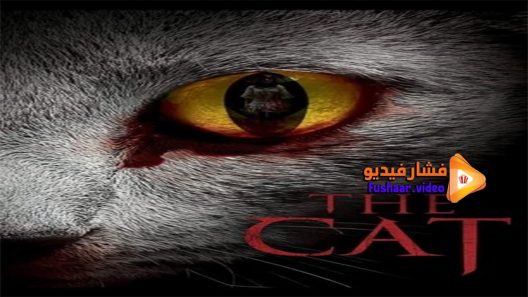 مشاهدة فيلم The Cat 2011 مترجم
