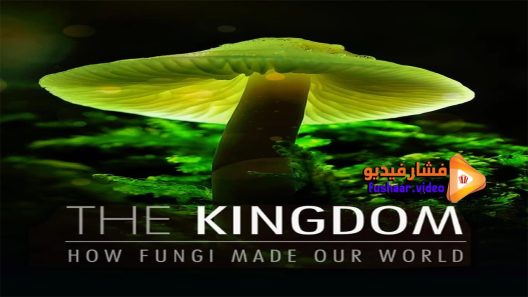 مشاهدة فيلم The Kingdom- How Fungi Made Our World 2018 مترجم