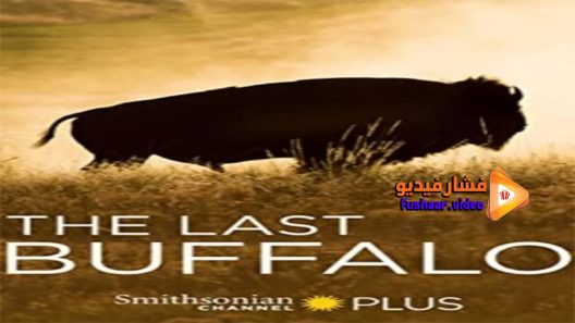 مشاهدة فيلم The Last Buffalo 2017 مترجم