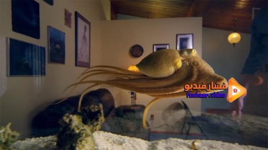 مشاهدة فيلم The Octopus in My House 2019 مترجم