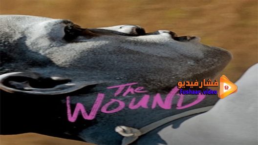 مشاهدة فيلم The Wound 2017 مترجم