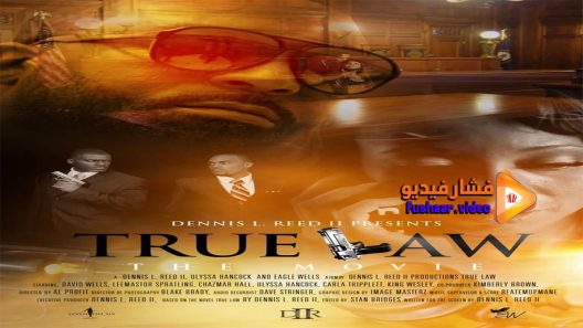 مشاهدة فيلم True Law 2015 مترجم
