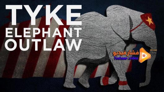مشاهدة فيلم Tyke Elephant Outlaw 2015 مترجم