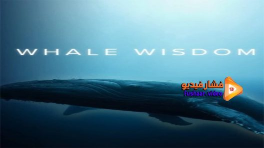 مشاهدة فيلم Whale Wisdom 2019 مترجم