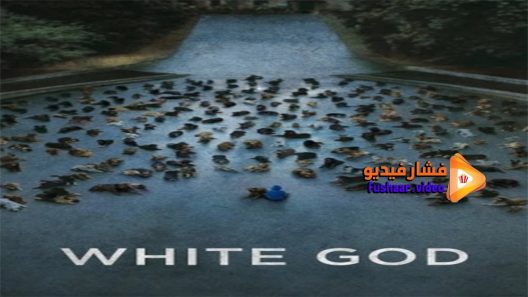 مشاهدة فيلم White God 2014 مترجم