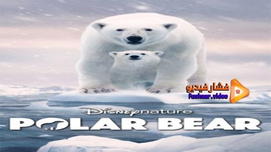 مشاهدة فيلم polar bear 2022 مترجم