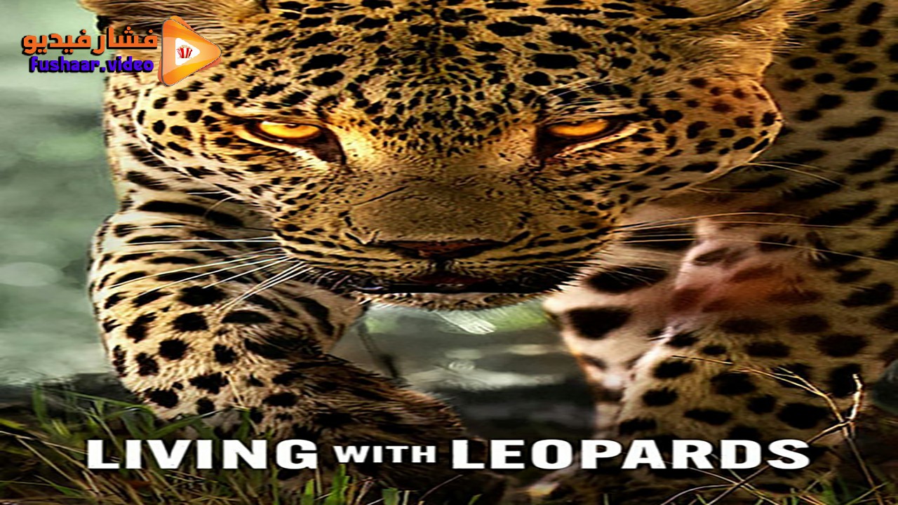 مشاهدة فيلم Living with Leopards 2024 مترجم فشار فيديو