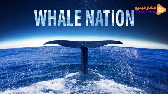 مشاهدة فيلم Whale Nation 2023 مترجم