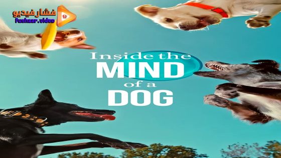مشاهدة فيلم Inside the Mind of a Dog 2024 مترجم