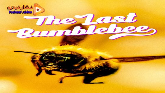 مشاهدة فيلم The Last Bumblebee 2024 مترجم