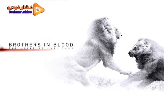 مشاهدة فيلم Brothers in Blood: The Lions of Sabi Sand 2015 مترجم