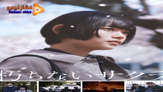 مشاهدة فيلم Kuchinai Sakura 2024 مترجم