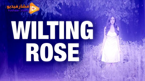 مشاهدة فيلم Wilting Rose 2025 مترجم