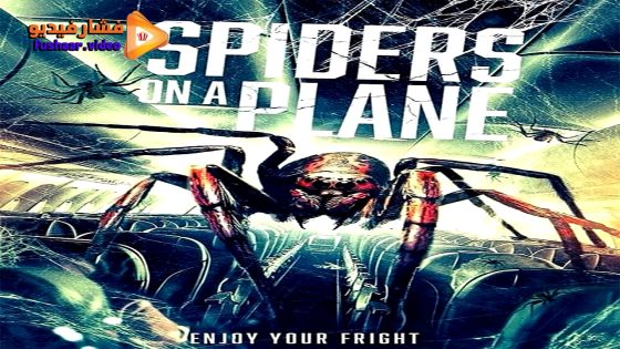 مشاهدة فيلم Spiders on a Plane 2024 مترجم