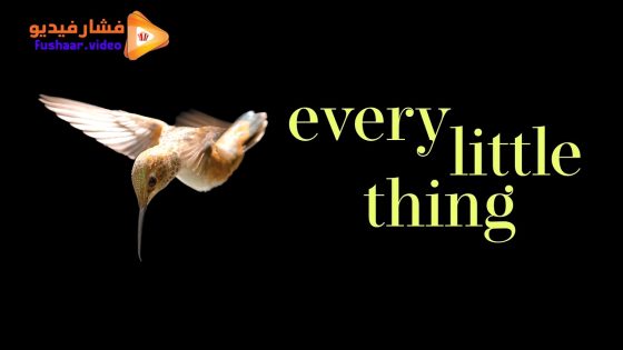 مشاهدة فيلم Every Little Thing 2024 مترجم