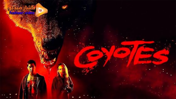 مشاهدة فيلم Coyotes 2025 مترجم