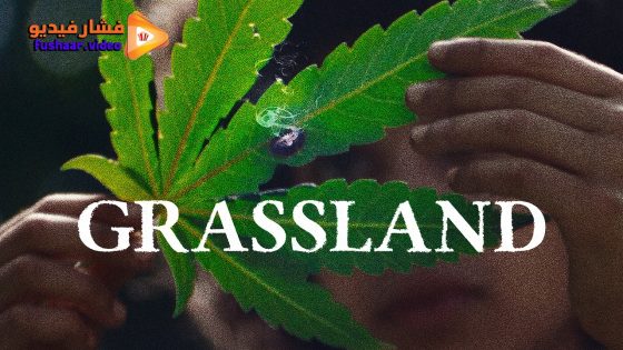 مشاهدة فيلم Grassland 2024 مترجم