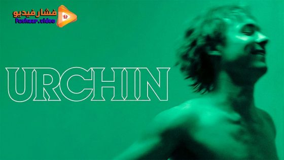 مشاهدة فيلم Urchin 2025 مترجم