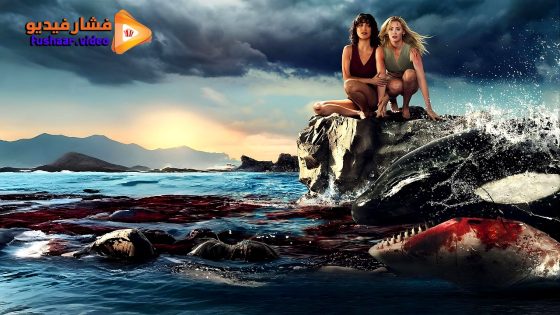 مشاهدة فيلم Killer Whale 2026 مترجم