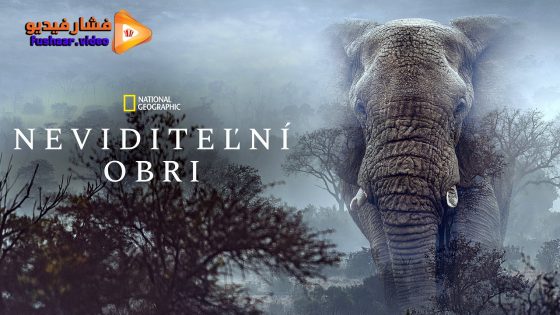 مشاهدة فيلم Ghost Elephants 2026 مترجم