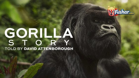 مشاهدة فيلم A Gorilla Story: Told by David Attenborough 2026 مترجم